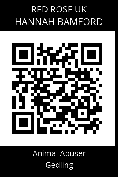QR code for hannah-bamford
