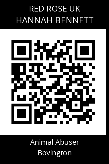QR code for hannah-bennett