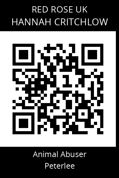 QR code for hannah-critchlow