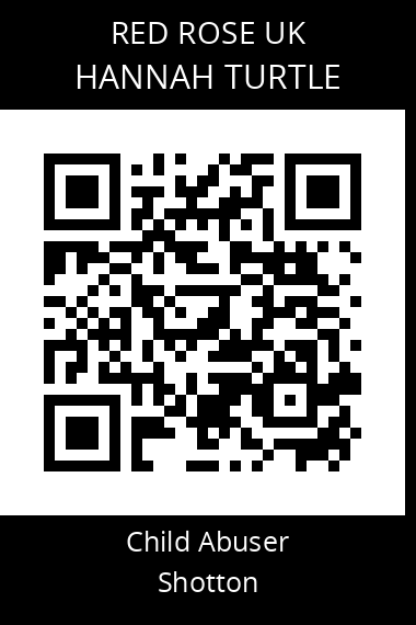 QR code for hannah-turtle