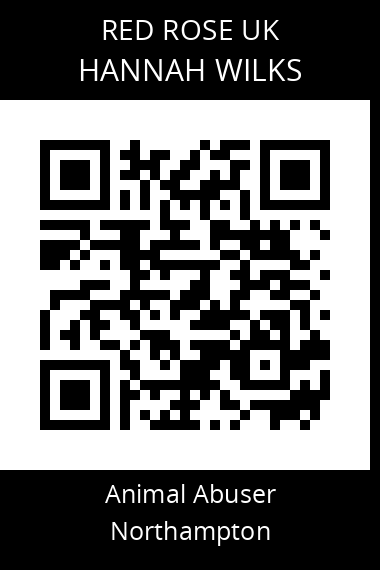 QR code for hannah-wilks