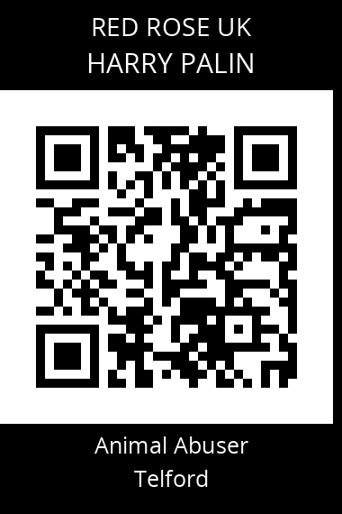 QR code for harry-palin