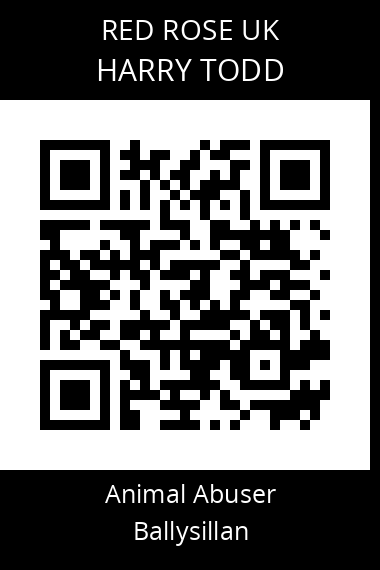 QR code for harry-todd