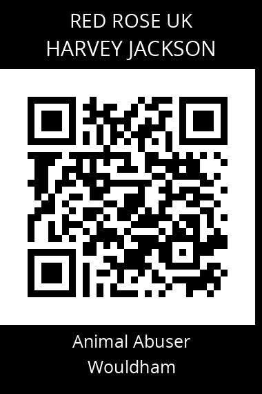 QR code for harvey-jackson