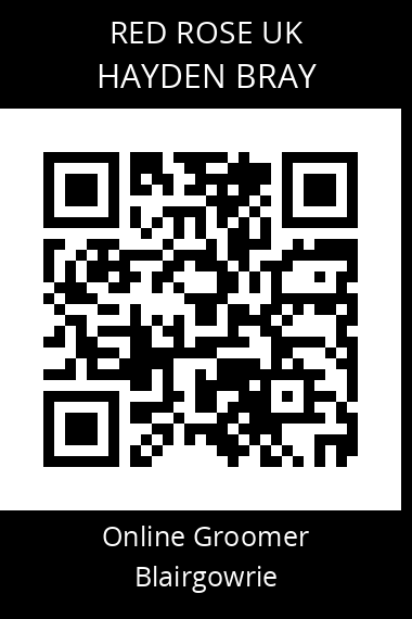 QR code for hayden-bray
