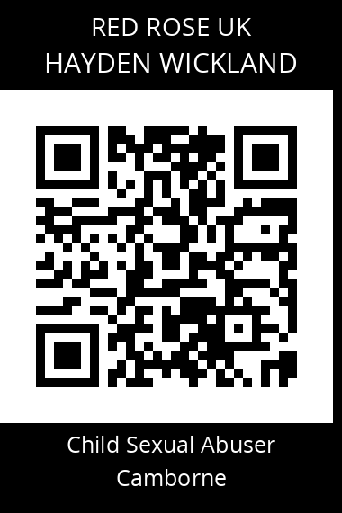 QR code for hayden-wickland