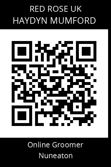 QR code for haydyn-mumford
