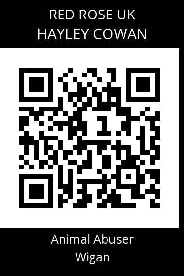 QR code for hayley-cowan