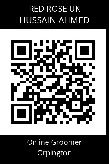 QR code for hussain-ahmed