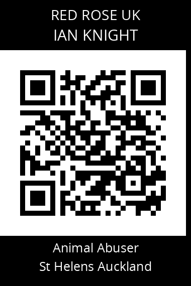 QR code for ian-knight-3