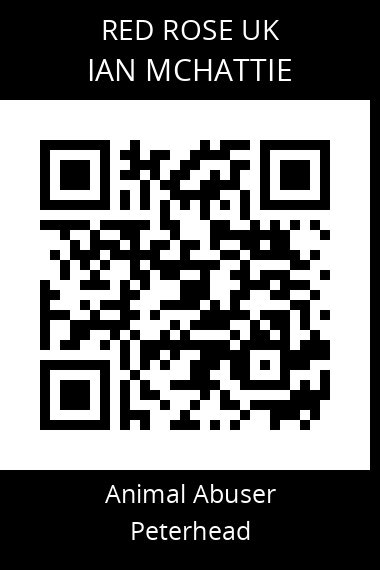 QR code for ian-mchattie