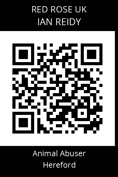 QR code for ian-reidy