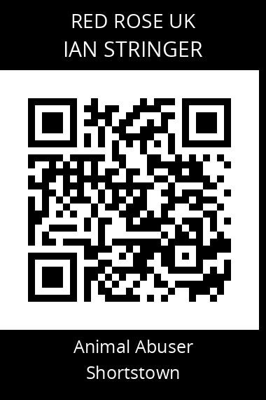 QR code for ian-stringer