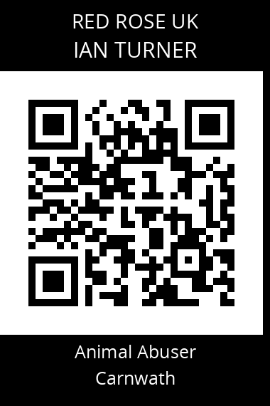 QR code for ian-turner-1