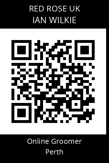 QR code for ian-wilkie