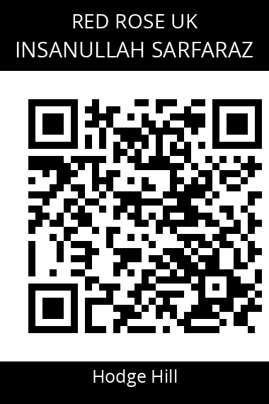 QR code for insanullah-sarfaraz