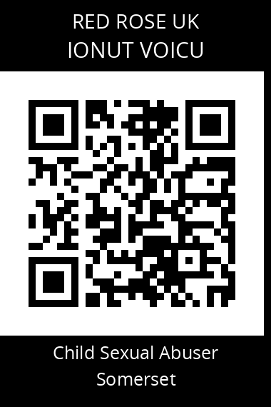 QR code for ionut-voicu
