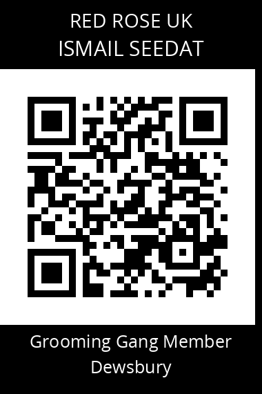 QR code for ismail-seedat