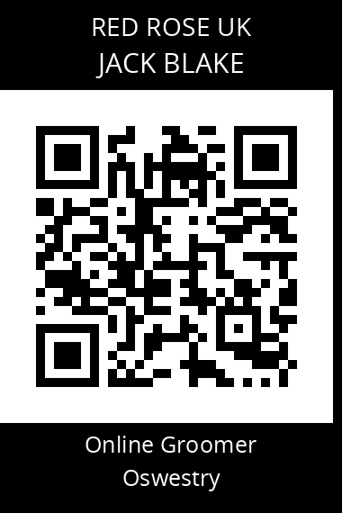 QR code for jack-blake