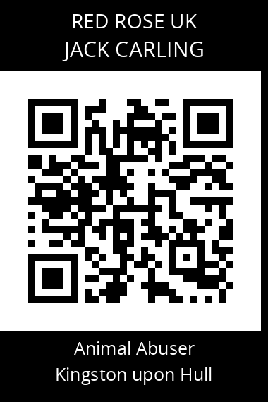 QR code for jack-carling