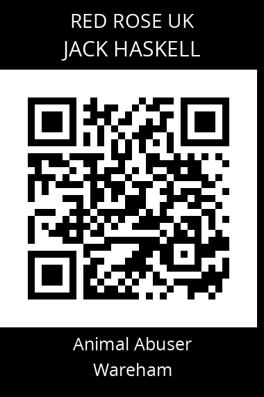 QR code for jack-haskell