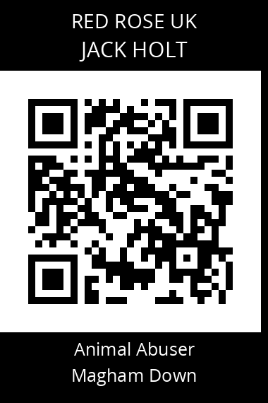 QR code for jack-holt