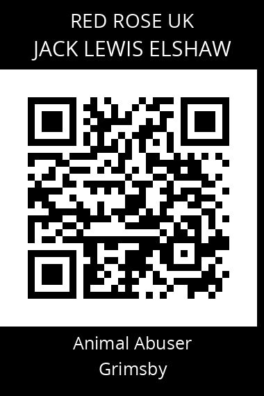QR code for jack-lewis-elshaw