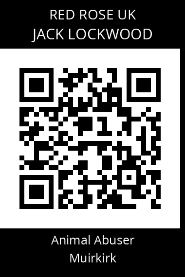 QR code for jack-lockwood