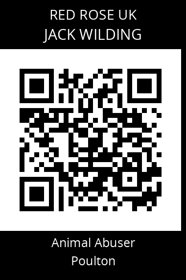 QR code for jack-wilding
