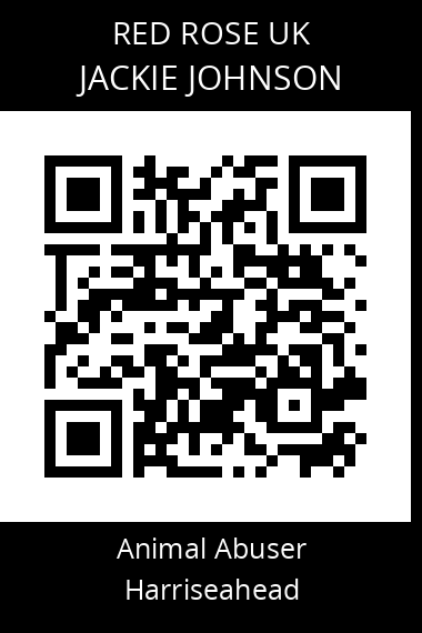 QR code for jackie-johnson