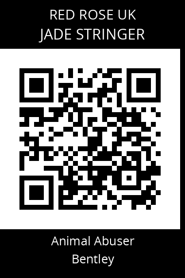 QR code for jade-stringer