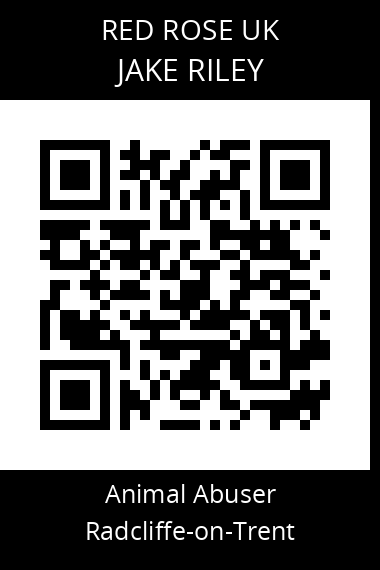 QR code for jake-riley