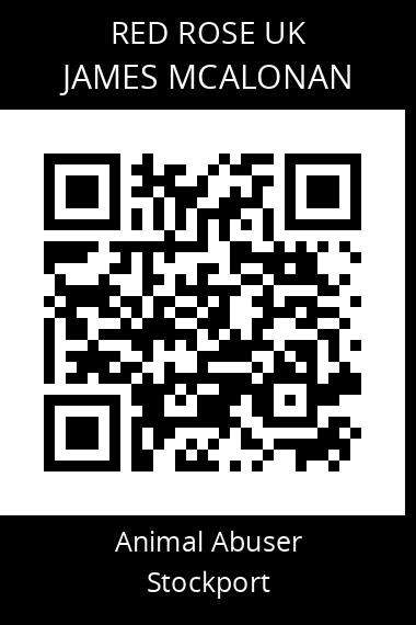 QR code for james-mcalonan