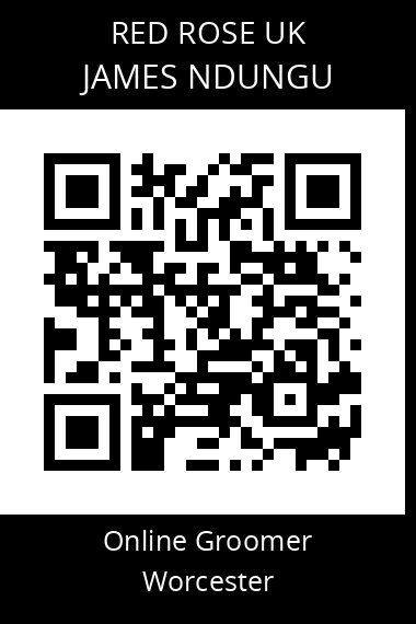 QR code for james-ndungu