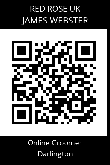 QR code for james-webster-2