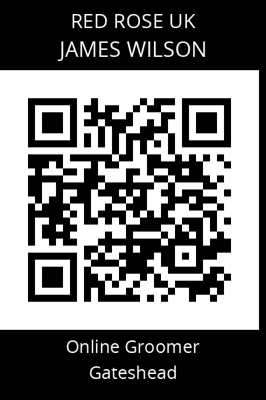 QR code for james-wilson-8