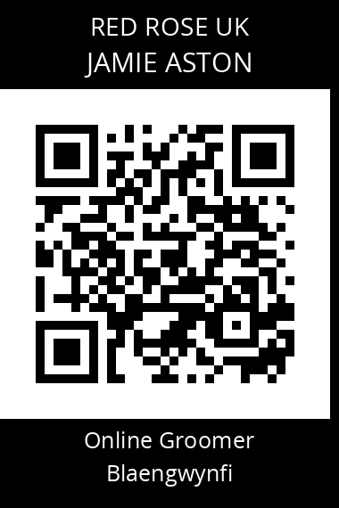 QR code for jamie-aston