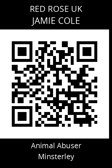 QR code for jamie-cole