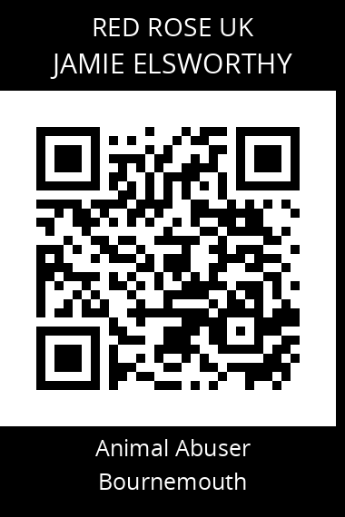 QR code for jamie-elsworthy