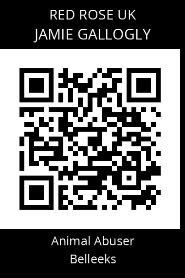 QR code for jamie-gallogly