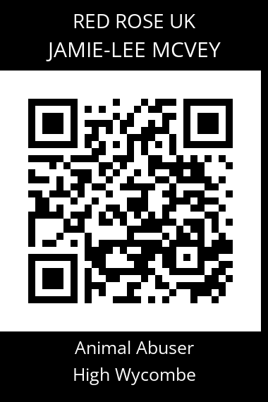 QR code for jamie-lee-mcvey