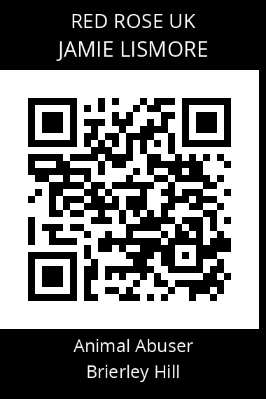 QR code for jamie-lismore