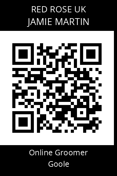 QR code for jamie-martin-3