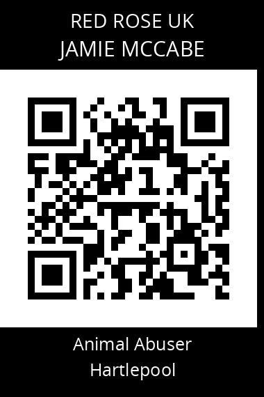 QR code for jamie-mccabe