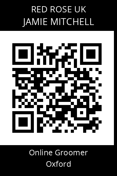 QR code for jamie-mitchell