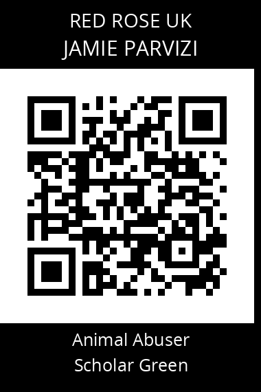 QR code for jamie-parvizi