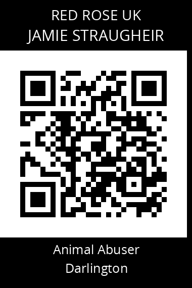 QR code for jamie-straugheir