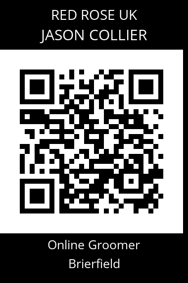 QR code for jason-collier