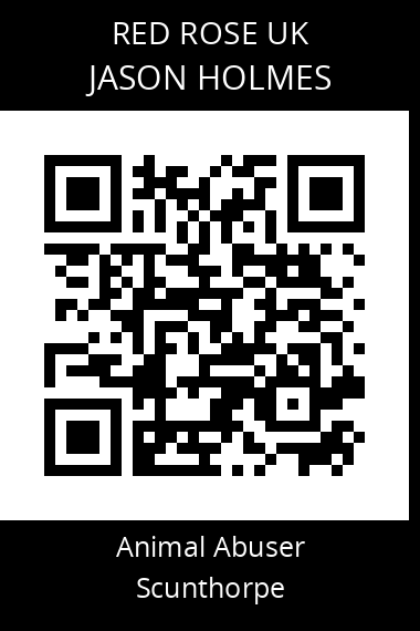 QR code for jason-holmes-1