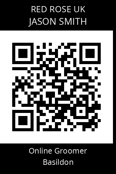 QR code for jason-smith-4